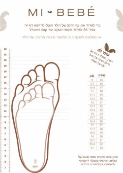 ⁦נעל ליידי לק - שמנת⁩ – תמונה ⁦5⁩